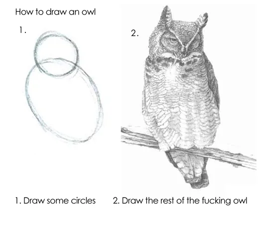 owl